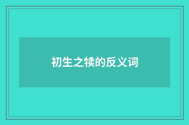 初生之犊的反义词