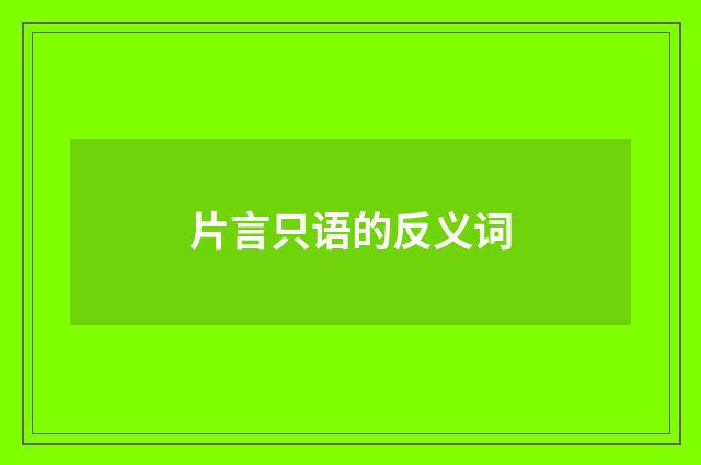 片言只语的反义词