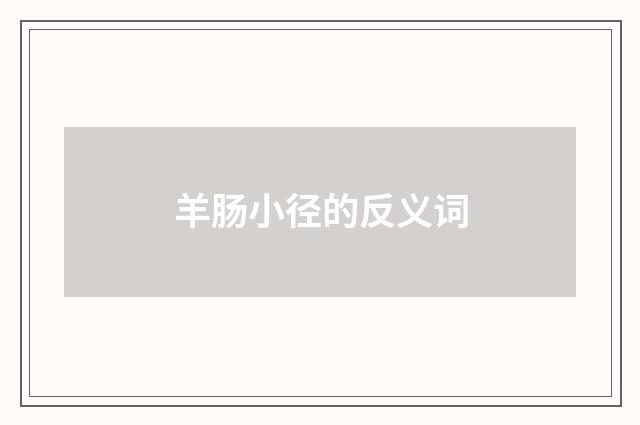 羊肠小径的反义词