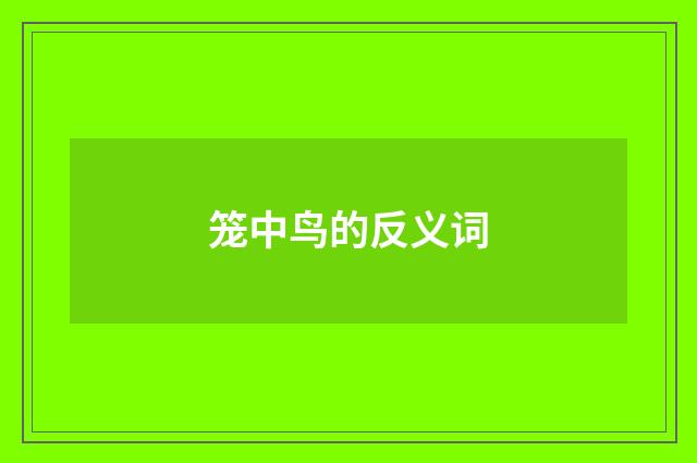 笼中鸟的反义词