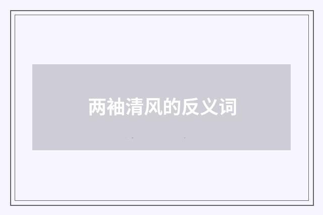 两袖清风的反义词