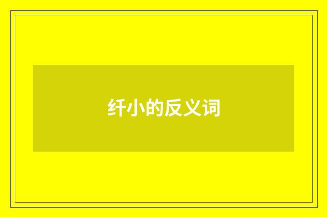 纤小的反义词