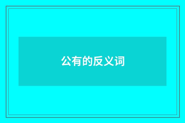 公有的反义词