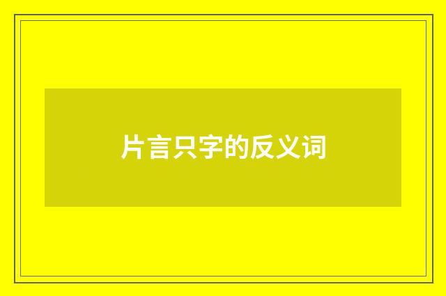 片言只字的反义词