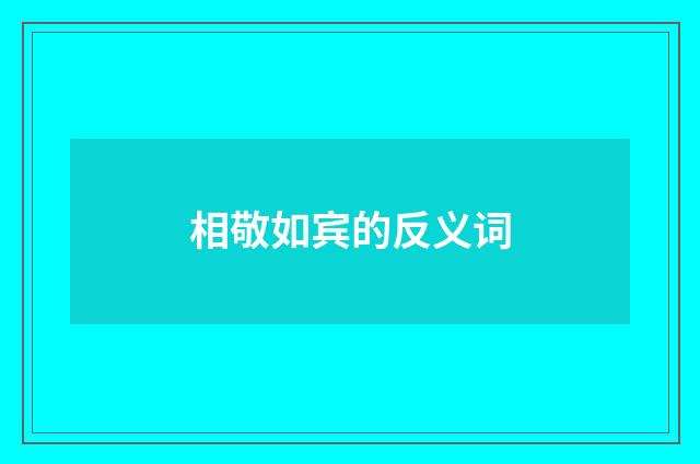 相敬如宾的反义词