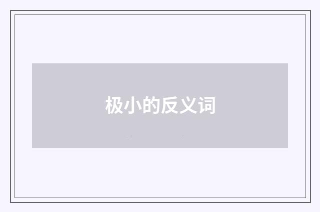 极小的反义词