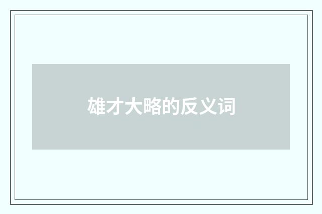 雄才大略的反义词