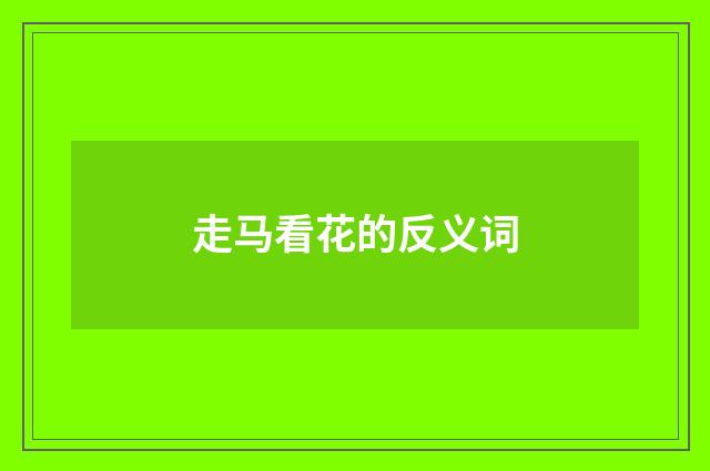 走马看花的反义词
