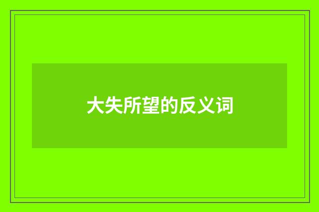 大失所望的反义词