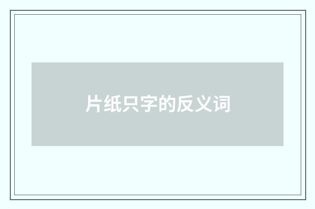 片纸只字的反义词