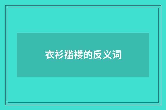 衣衫褴褛的反义词
