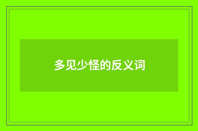 多见少怪的反义词