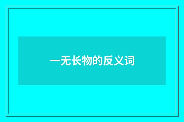 一无长物的反义词