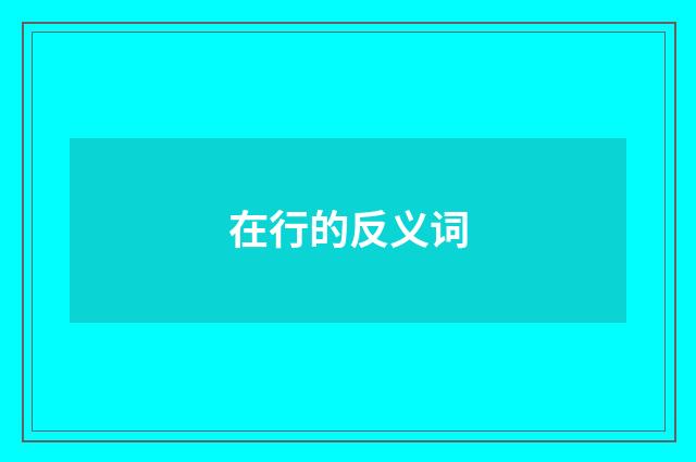 在行的反义词