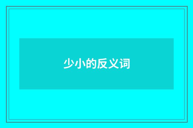少小的反义词
