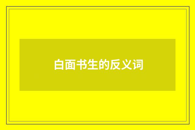 白面书生的反义词