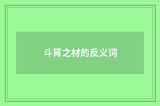 斗筲之材的反义词