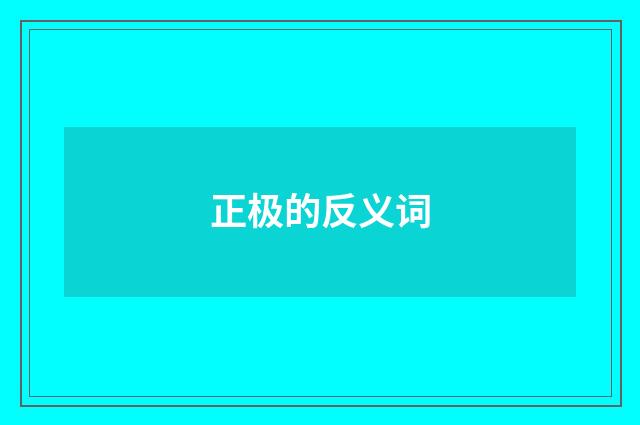 正极的反义词
