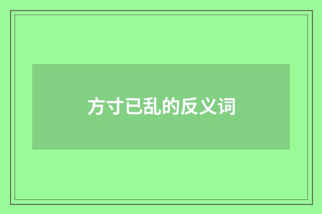 方寸已乱的反义词