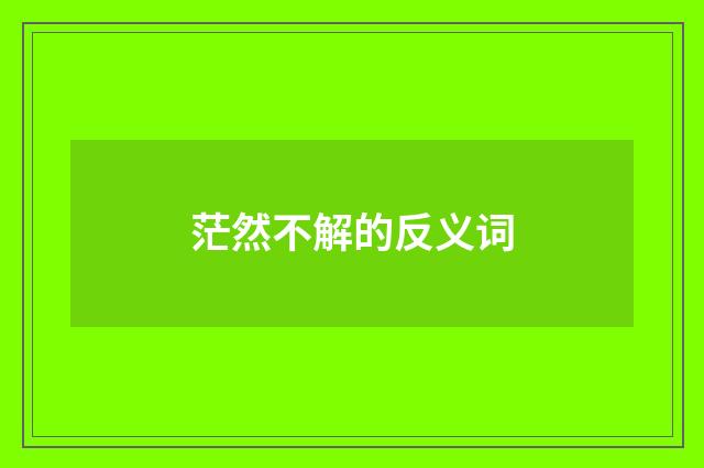 茫然不解的反义词