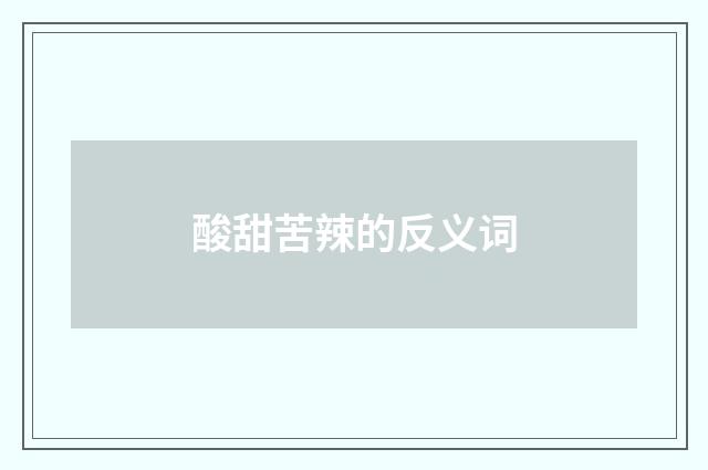 酸甜苦辣的反义词