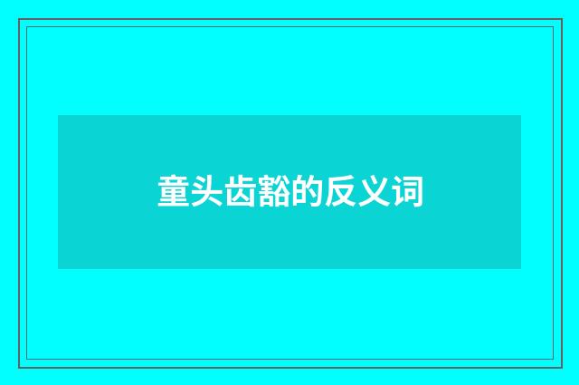童头齿豁的反义词