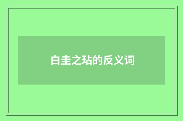 白圭之玷的反义词