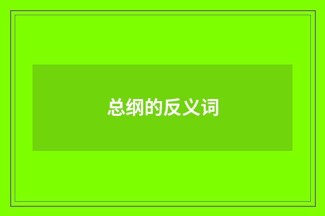 总纲的反义词