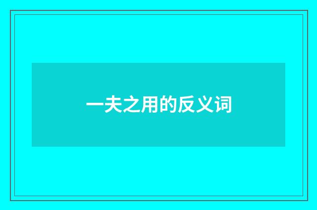 一夫之用的反义词