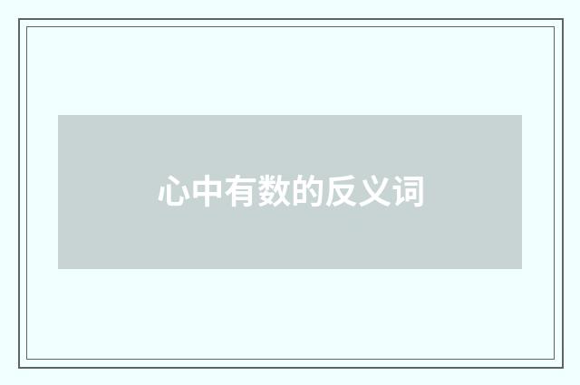 心中有数的反义词