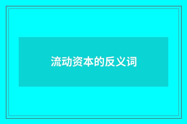流动资本的反义词
