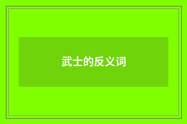 武士的反义词
