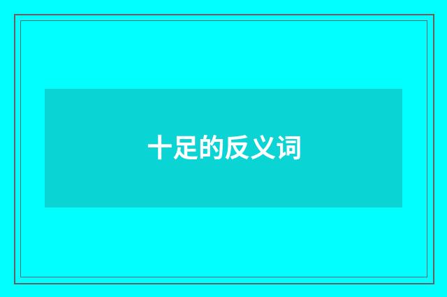 十足的反义词