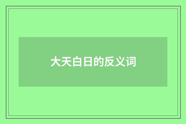 大天白日的反义词