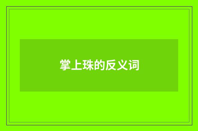 掌上珠的反义词