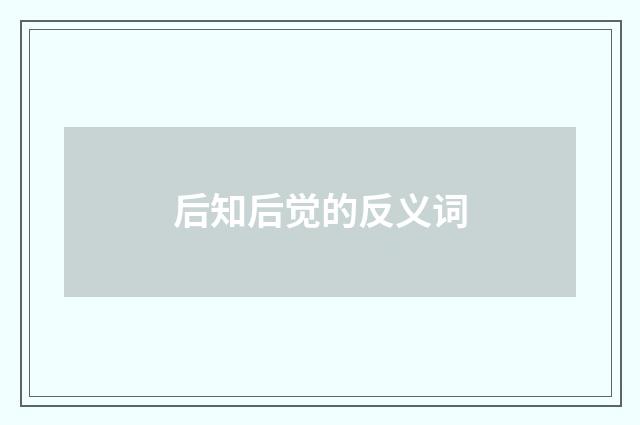 后知后觉的反义词