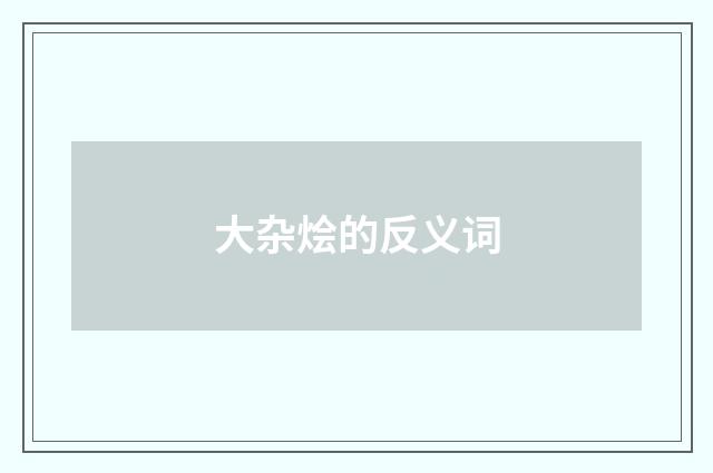 大杂烩的反义词