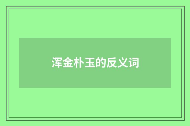 浑金朴玉的反义词