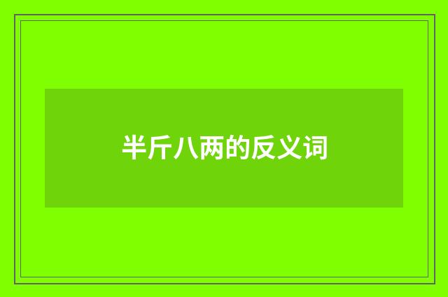 半斤八两的反义词