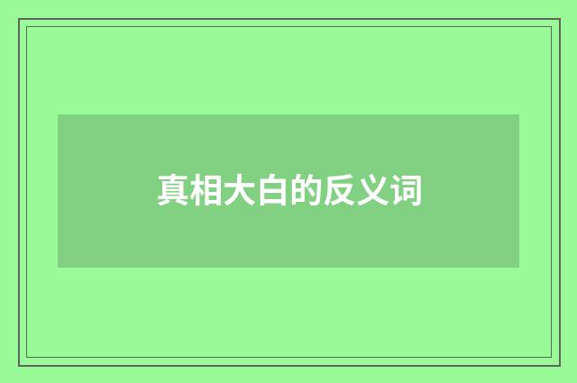 真相大白的反义词
