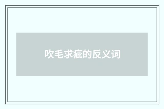 吹毛求疵的反义词
