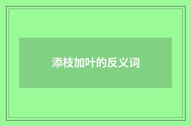 添枝加叶的反义词