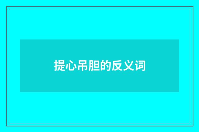 提心吊胆的反义词