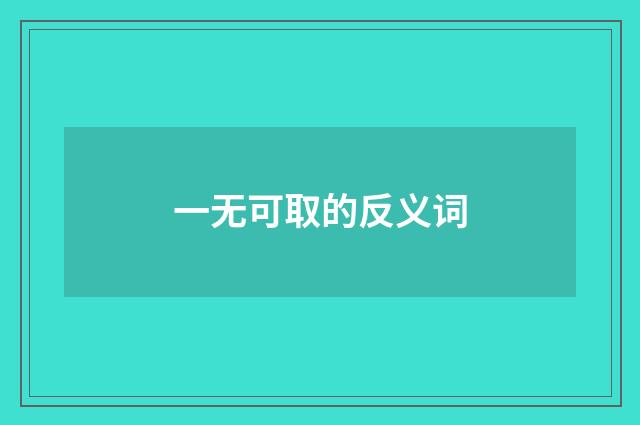 一无可取的反义词